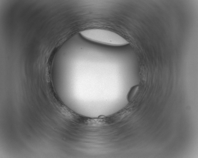 X0000073890378200608110916