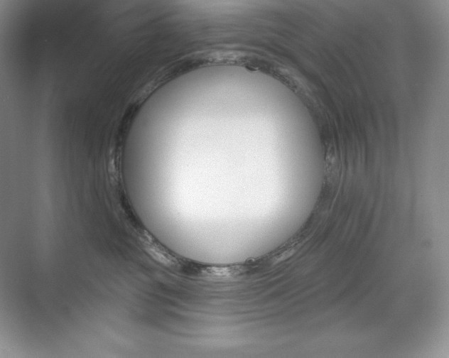 X0000073890381200608110916