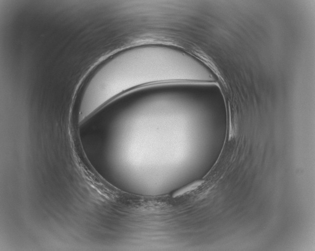 X0000073890387200608110915