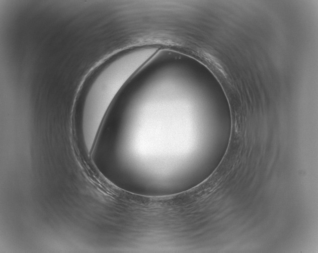 X0000073890388200608110915