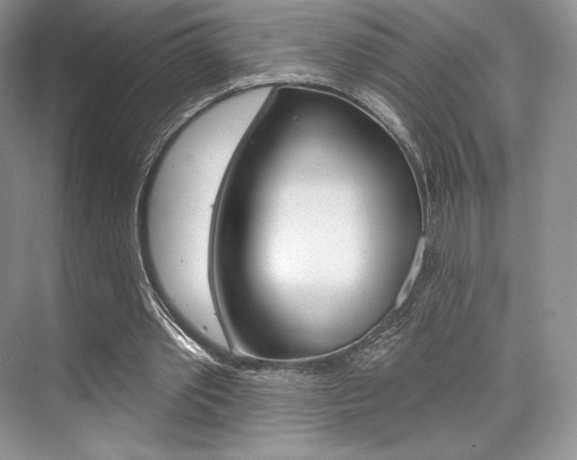 X0000073890389200608110915