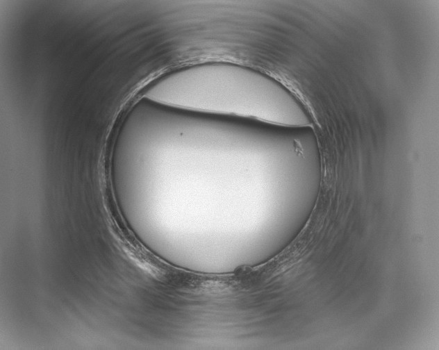 X0000073890390200608110915