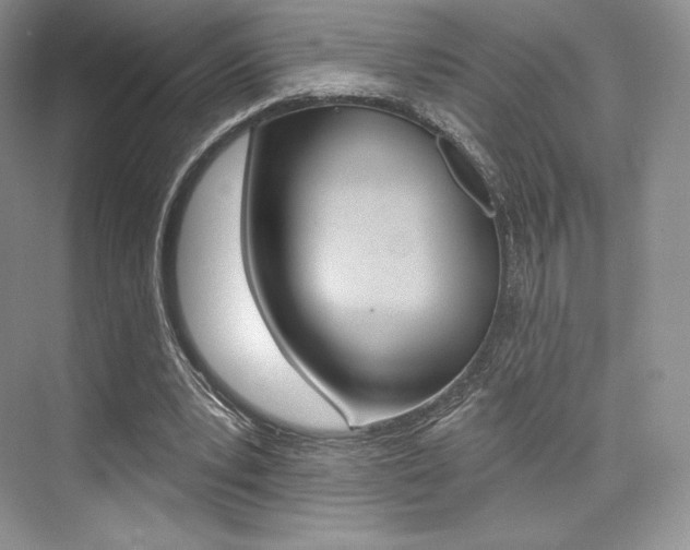 X0000073890391200608110915