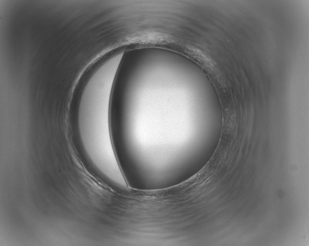 X0000073890392200608110915