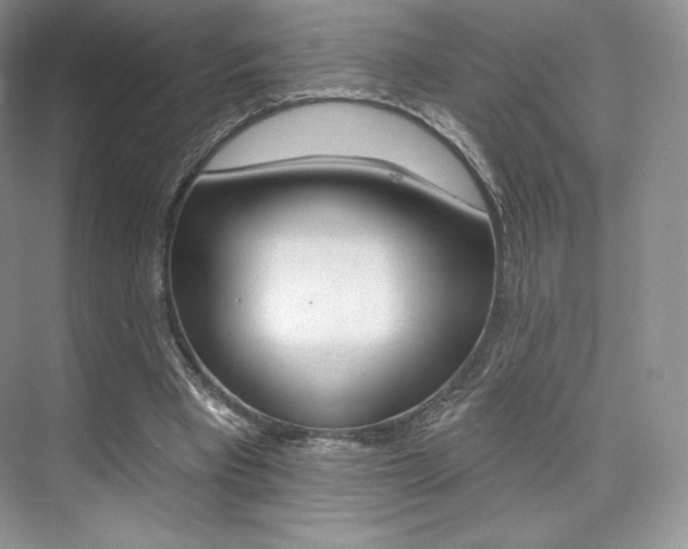 X0000073890393200608110915