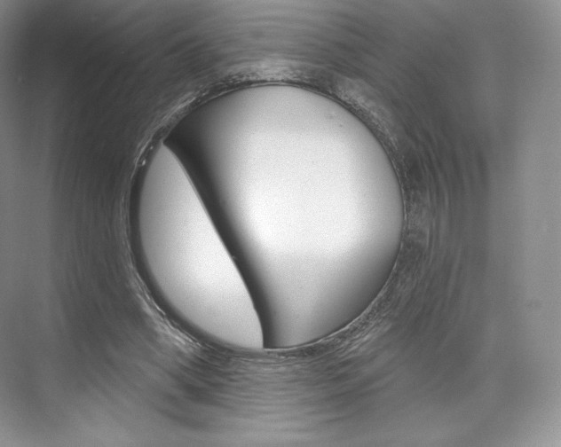 X0000073890394200608110915