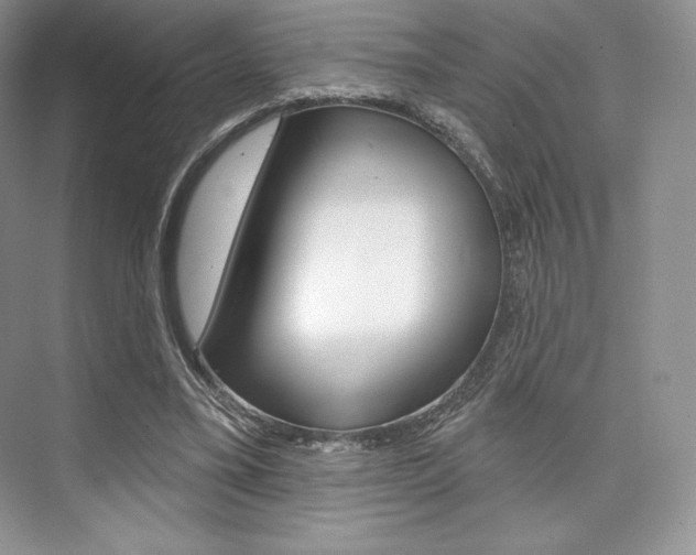 X0000073890395200608110915