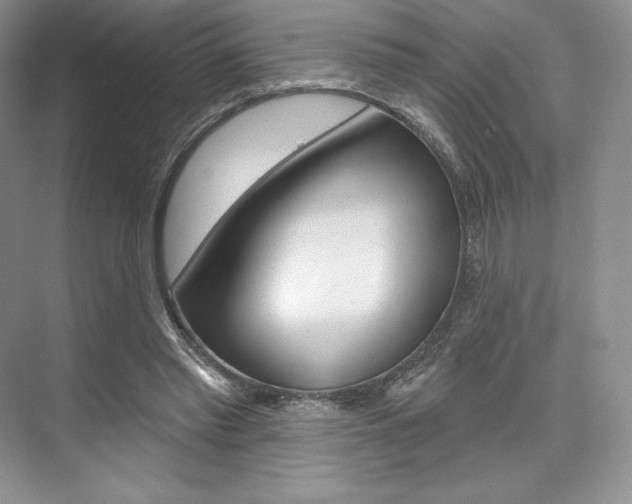 X0000073890397200608110915