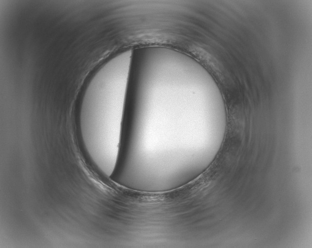 X0000073890398200608110915