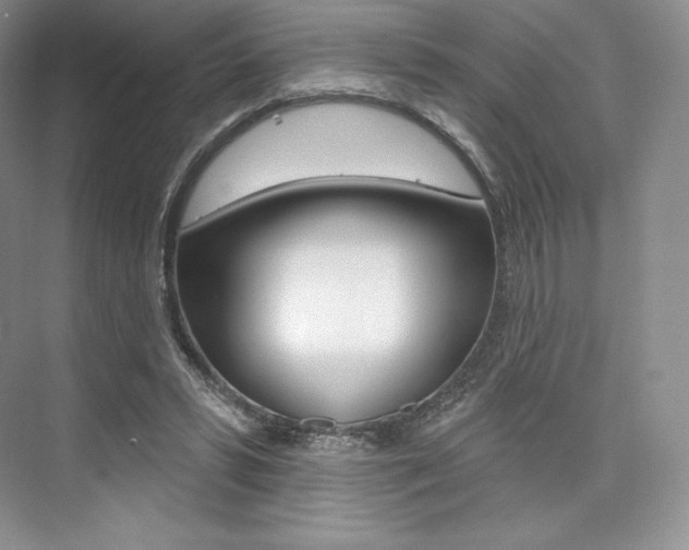 X0000073890399200608110915