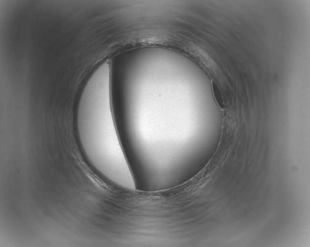 X0000073890401200608110915