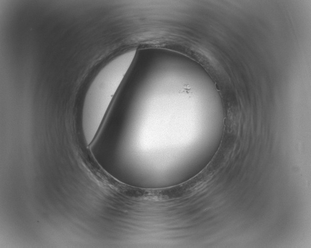 X0000073890404200608110915