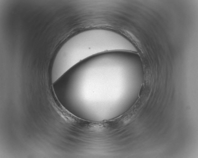 X0000073890405200608110915