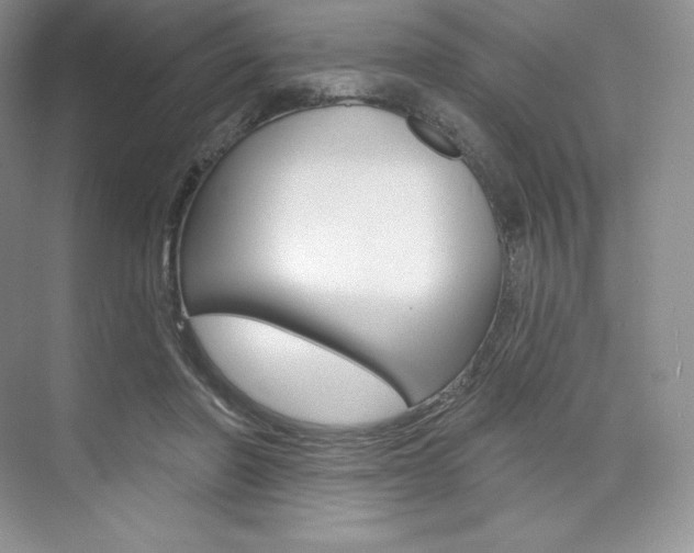 X0000073890406200608110915