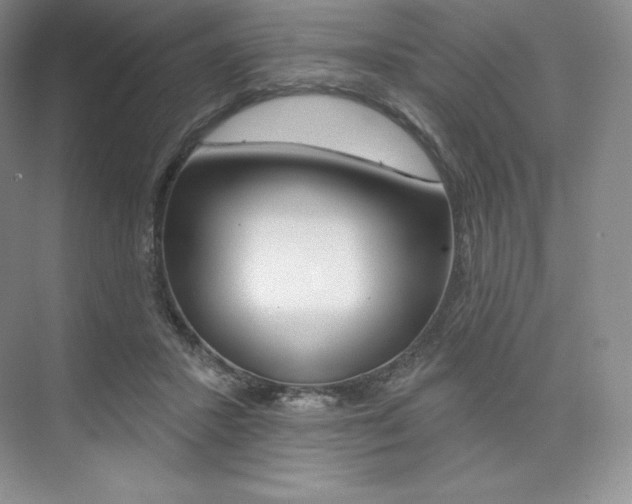 X0000073890407200608110915