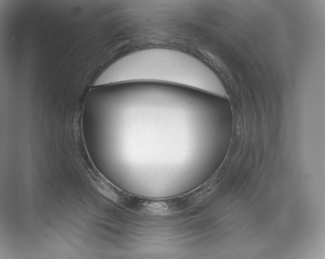 X0000073890409200608110915
