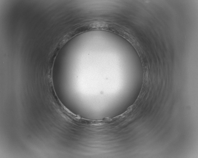X0000073890411200608110915