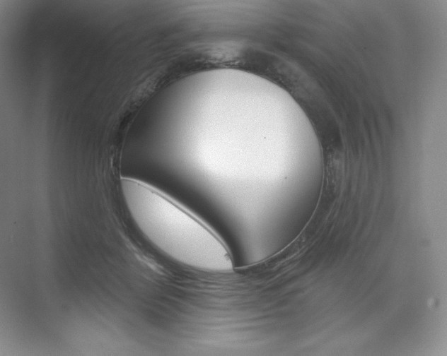 X0000073890412200608110915