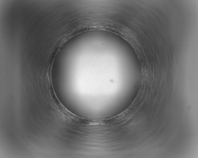 X0000073890415200608110915