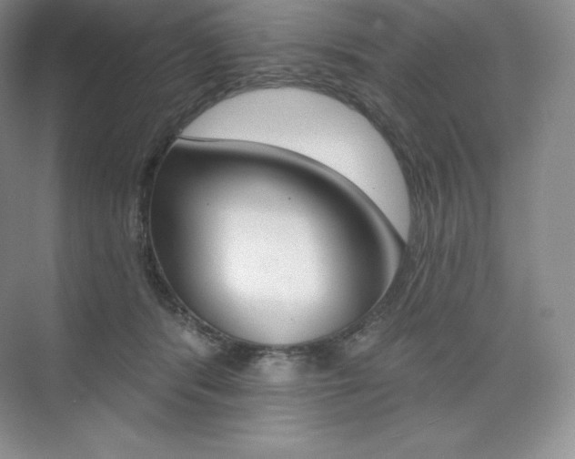 X0000073890416200608110915