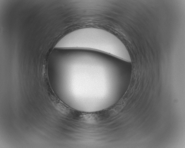 X0000073890417200608110915