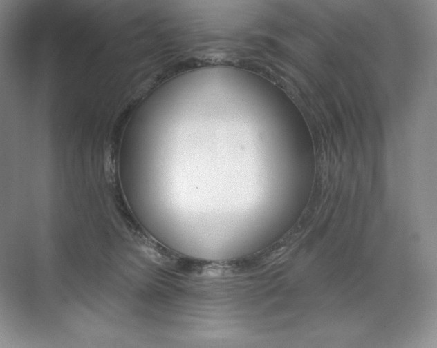 X0000073890420200608110915