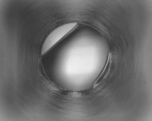 X0000073890421200608110915