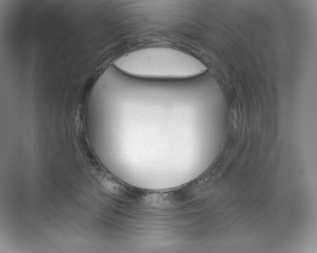X0000073890422200608110915