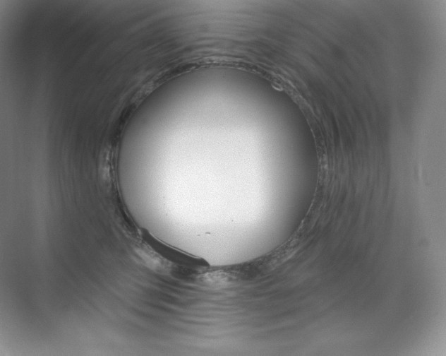 X0000073890423200608110915