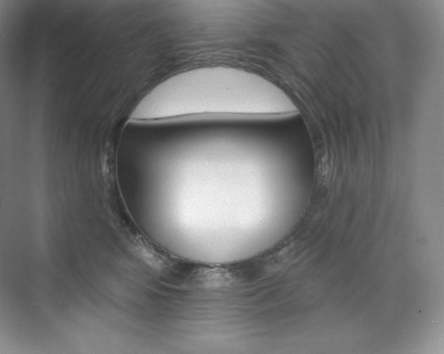 X0000073890424200608110914