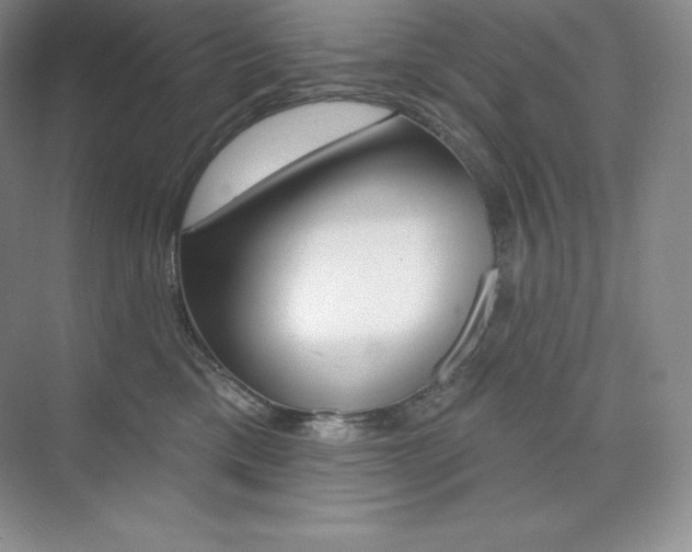 X0000073890425200608110914