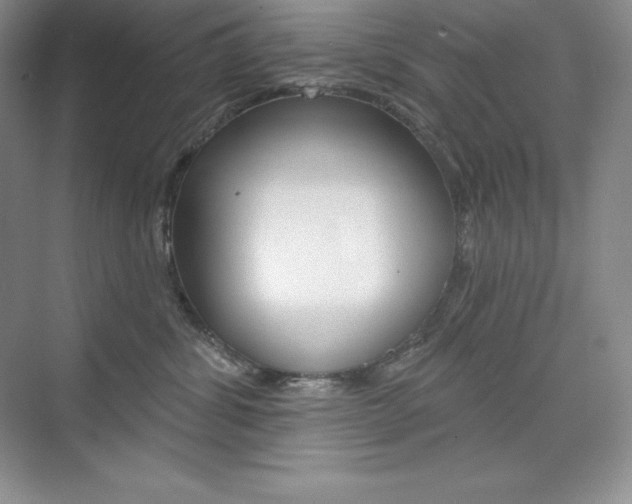 X0000073890428200608110914