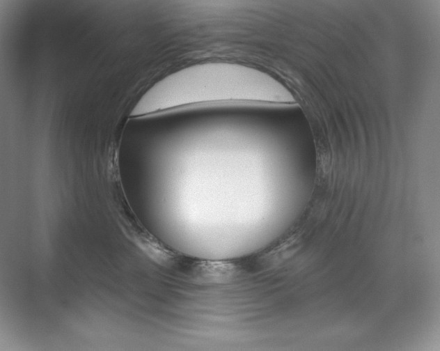 X0000073890429200608110914