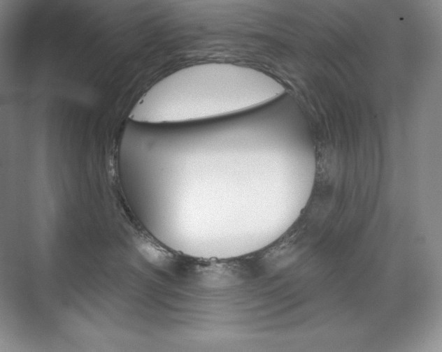 X0000073890430200608110914