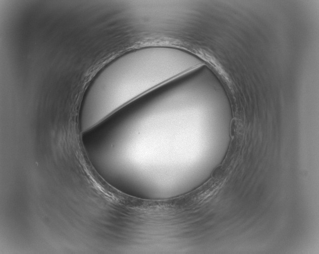 X0000073890433200608110914