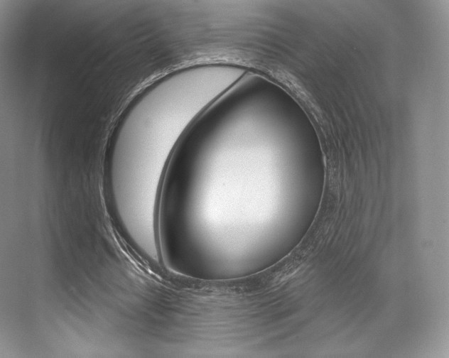 X0000073890434200608110914