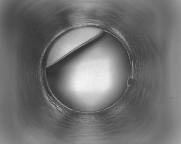 X0000073890435200608110914