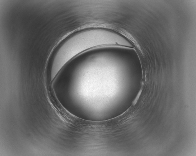X0000073890436200608110914