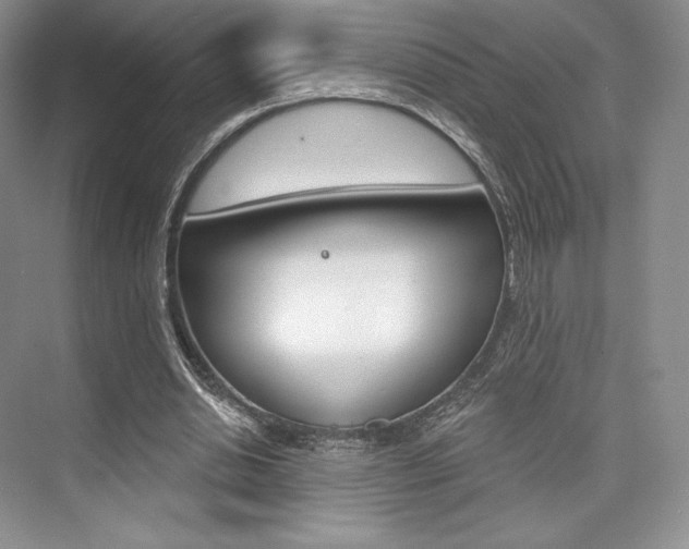X0000073890438200608110914