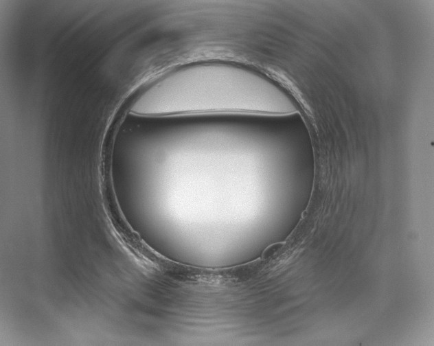 X0000073890439200608110914