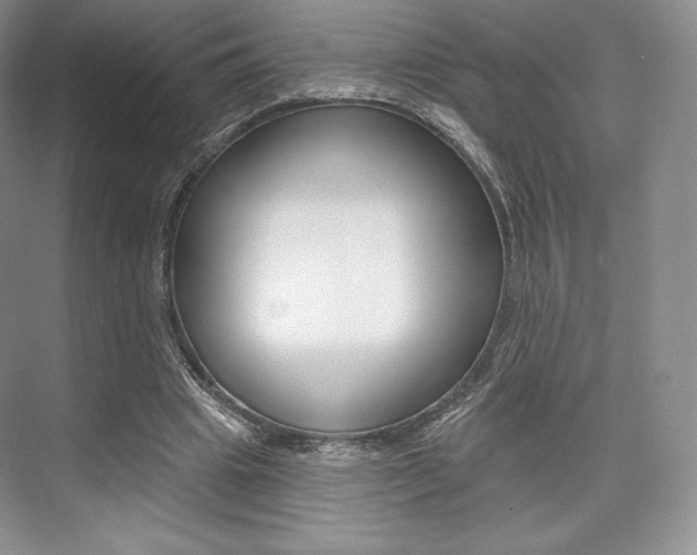 X0000073890441200608110914