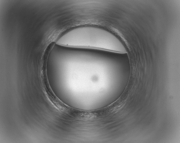 X0000073890443200608110914