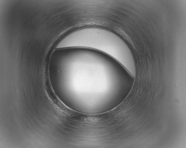 X0000073890444200608110914