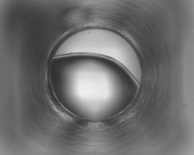 X0000073890446200608110914