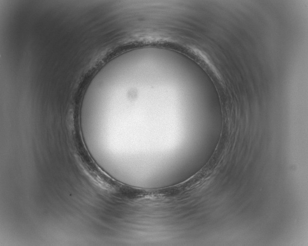 X0000073890447200608110914