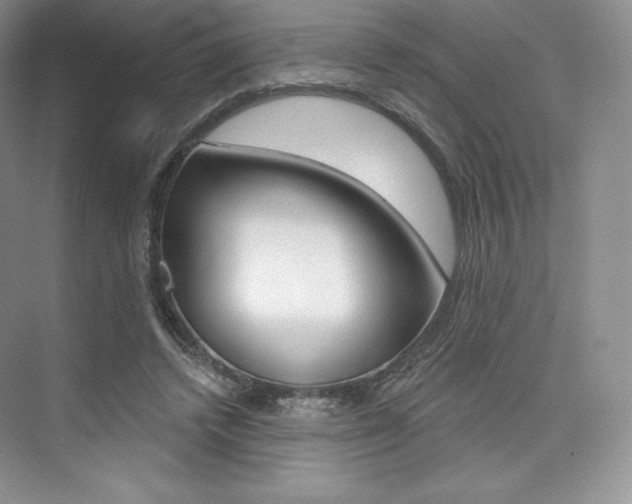 X0000073890448200608110914