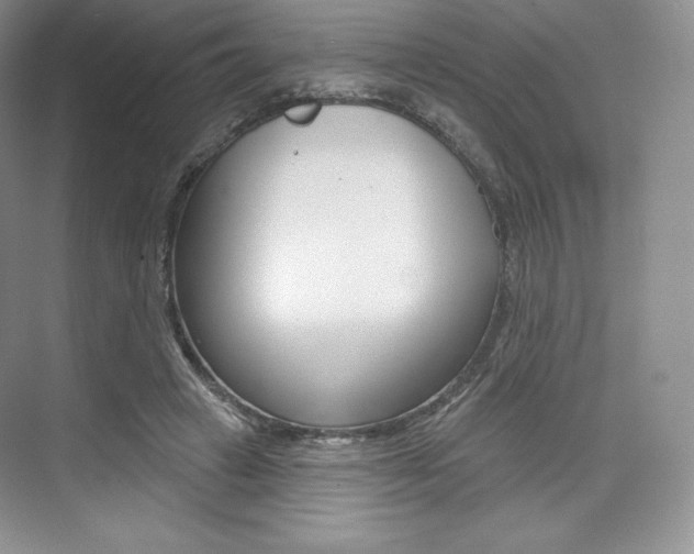 X0000073890449200608110914