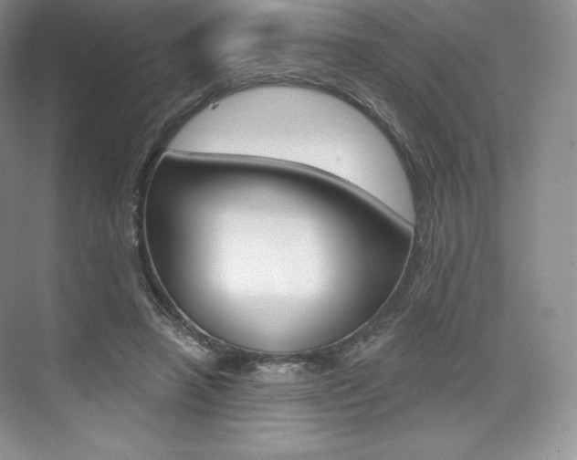 X0000073890450200608110914