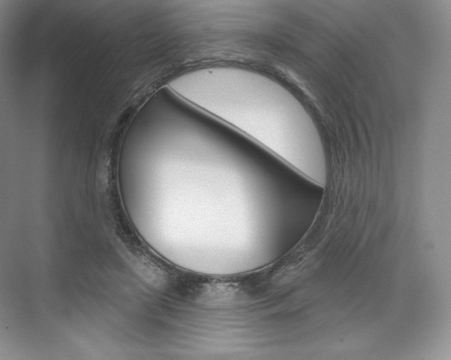 X0000073890451200608110914
