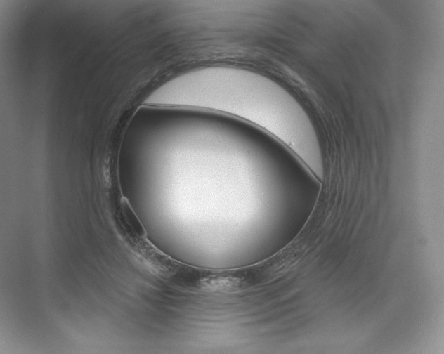 X0000073890452200608110914